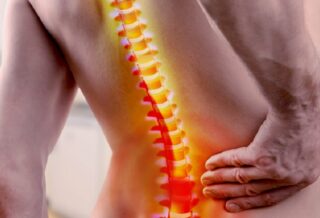 Normal Curves of the Spine