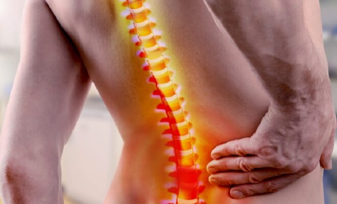 Normal Curves of the Spine